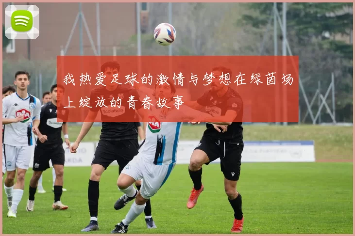 我热爱足球的激情与梦想在绿茵场上绽放的青春故事