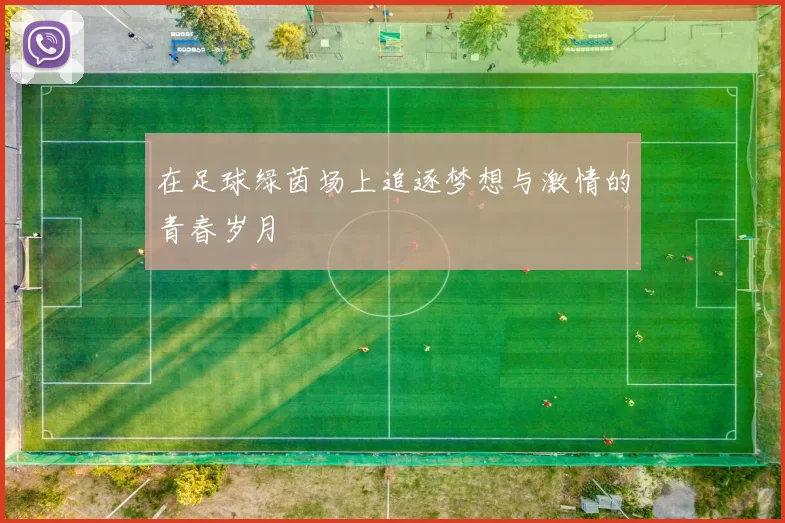 在足球绿茵场上追逐梦想与激情的青春岁月
