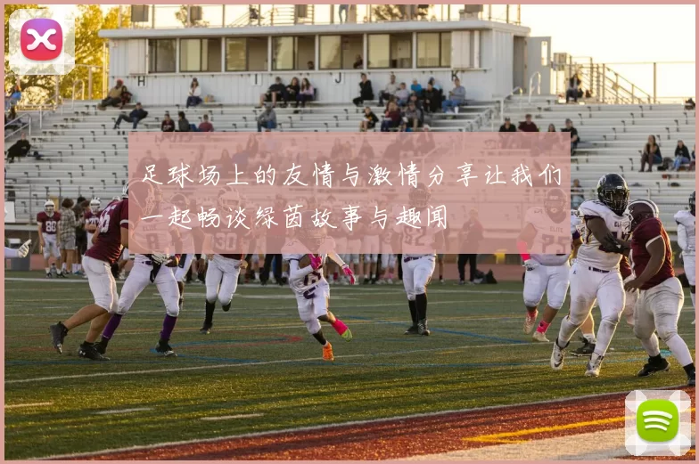 足球场上的友情与激情分享让我们一起畅谈绿茵故事与趣闻