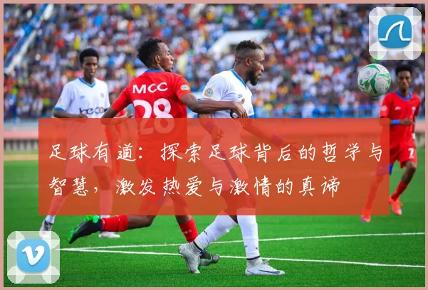 足球有道：探索足球背后的哲学与智慧，激发热爱与激情的真谛